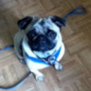 Meet your Posher, Christiana